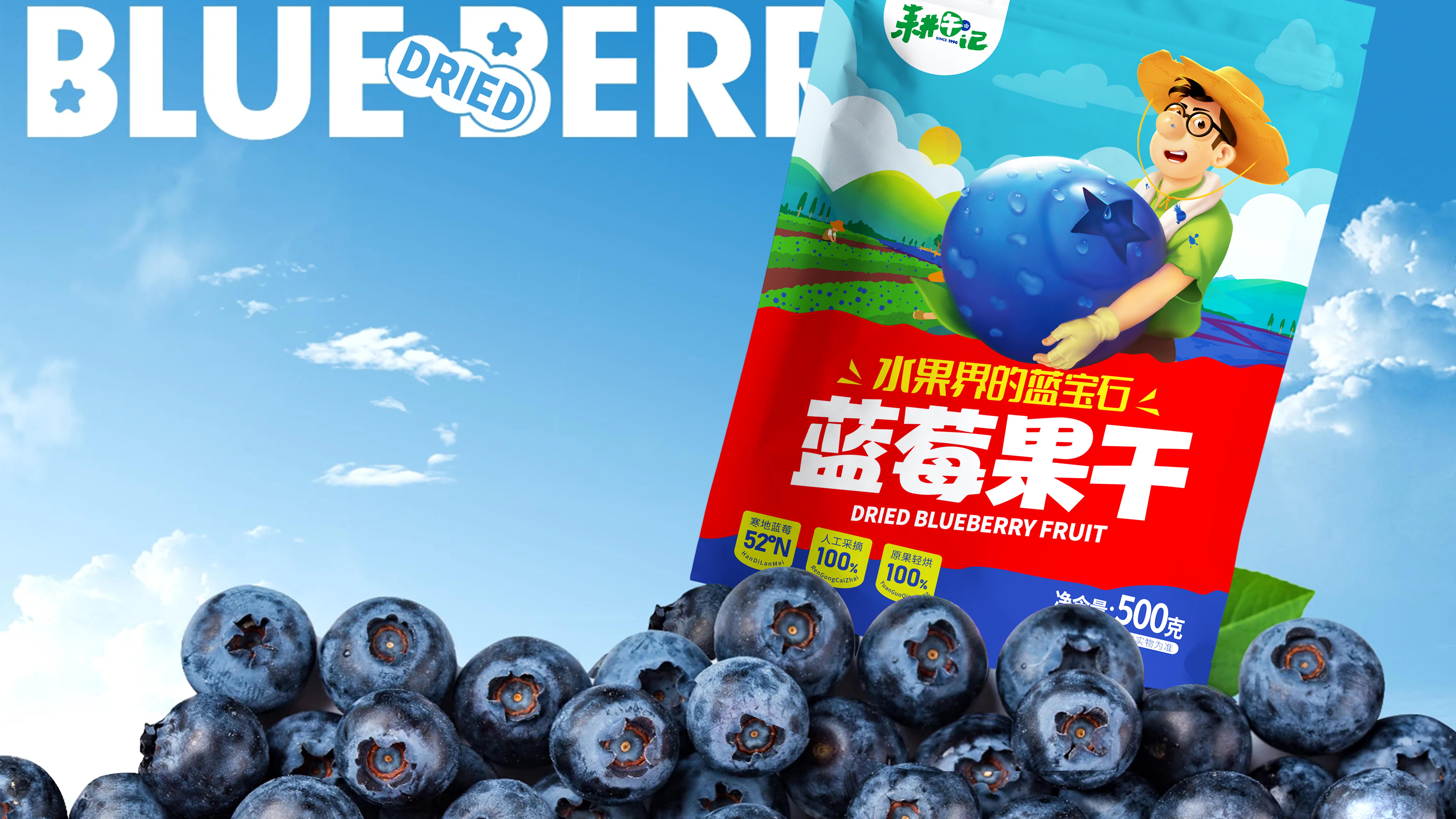 耕午记蓝莓果干