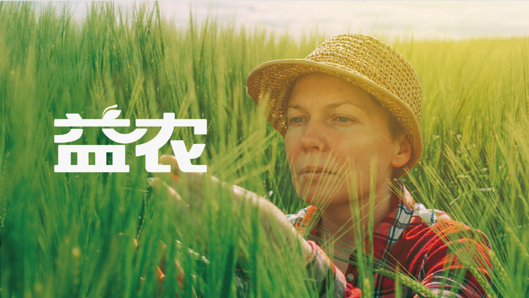 益农集团品牌升级与企业文化策划